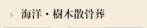 海洋・樹木散骨葬